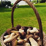 Raciborówka Kwatera prywatna *