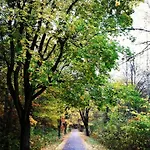 Raciborówka