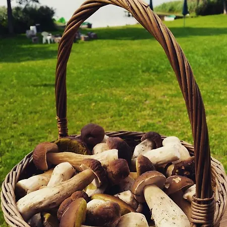 Raciborowka Homestay szállás *