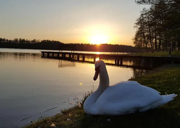 Homestay Raciborowka